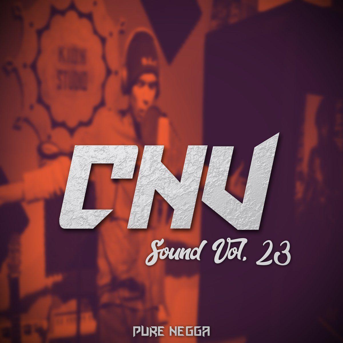 Portada del álbum "Vol. 23", de Pure Negga