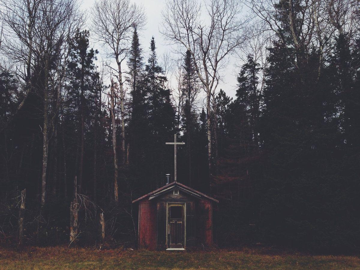 Capa do Álbum "First Love", de Taylor Armstrong