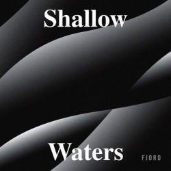 Portada de Sencillo/EP "Shallow Waters", de Fjord