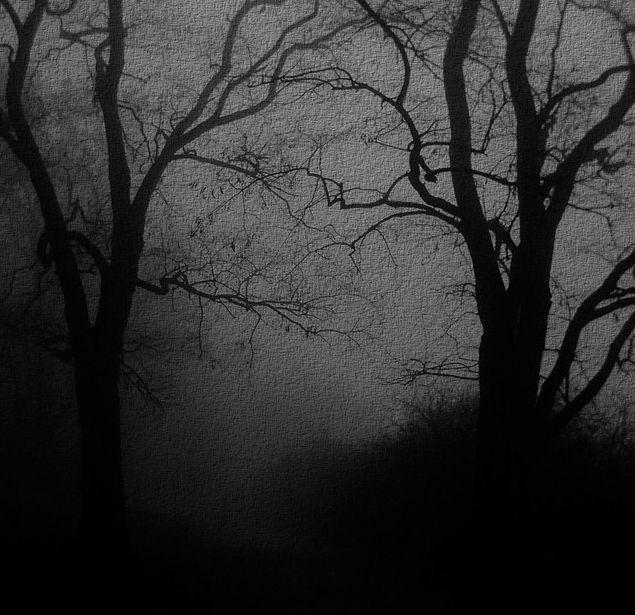 Capa do álbum "MADNESS", de INTERWORLD