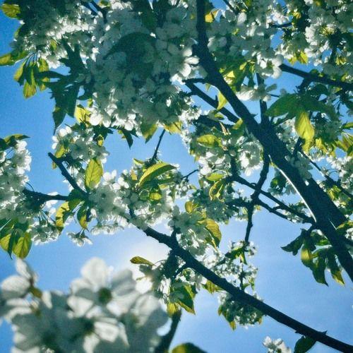 Portada de Sencillo/EP "Ethereal", de Freya Ridings