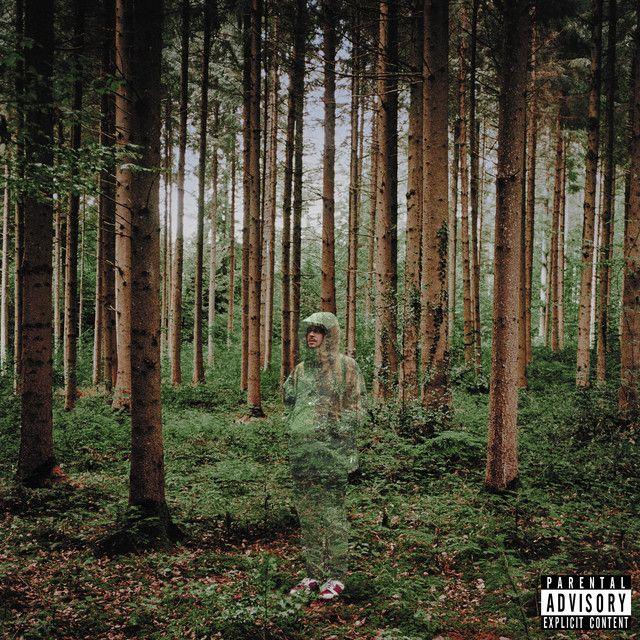 Capa do Álbum "I Love You, I'm Trying", de Grandson