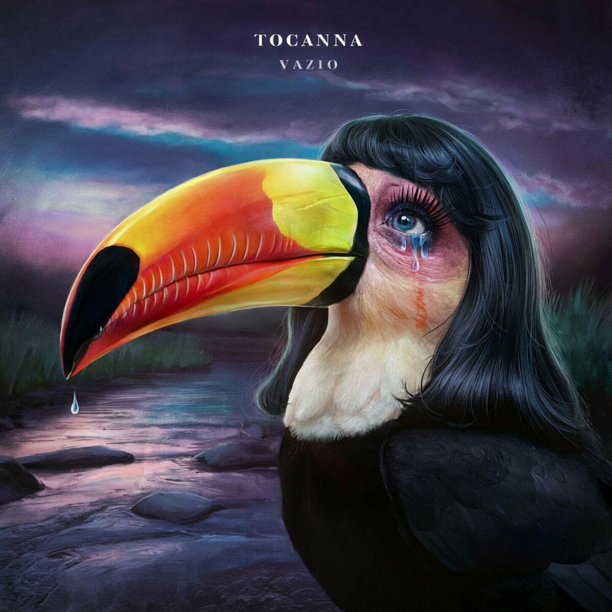 Album cover of "Vazio" by Tocanna