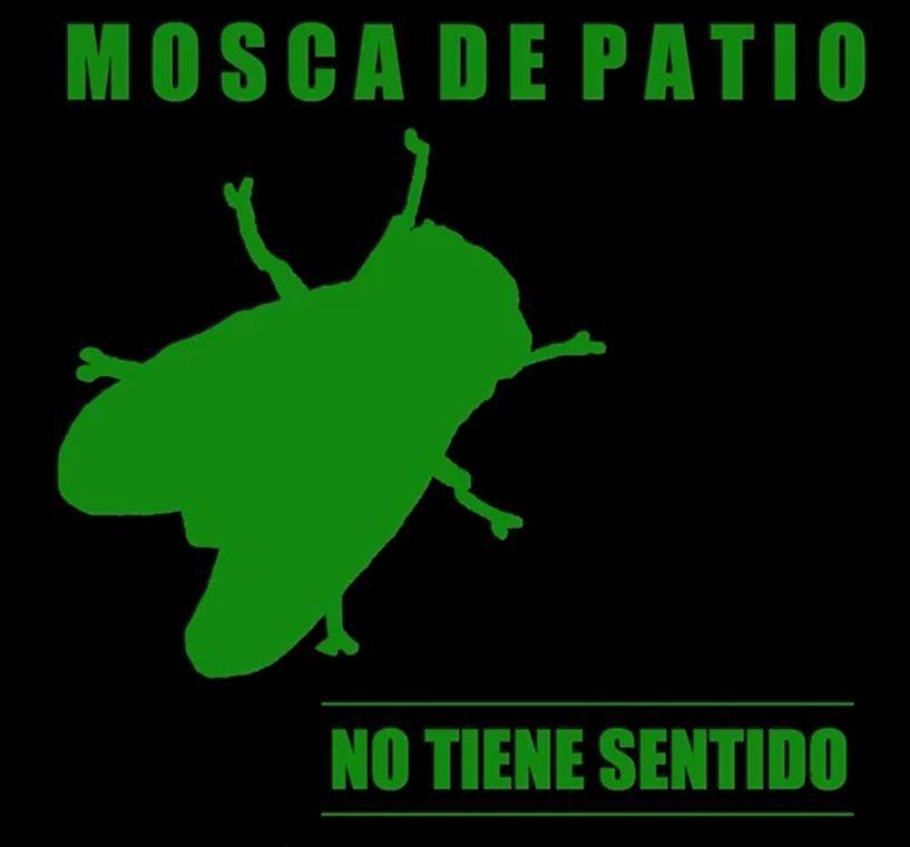 Portada de Álbum "No Tiene Sentido", de Mosca de Patio