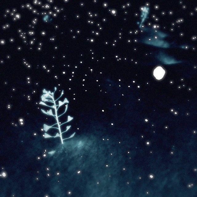 Portada de Sencillo/EP "Slow Dance", de DamDamGuGu