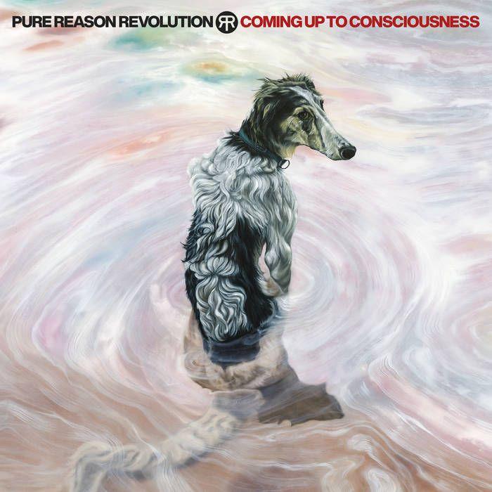 Portada de Álbum "Coming Up To Consciousness", de Pure Reason Revolution