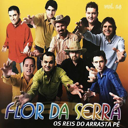 Capa do Álbum "Volume 14", de Flor da Serra