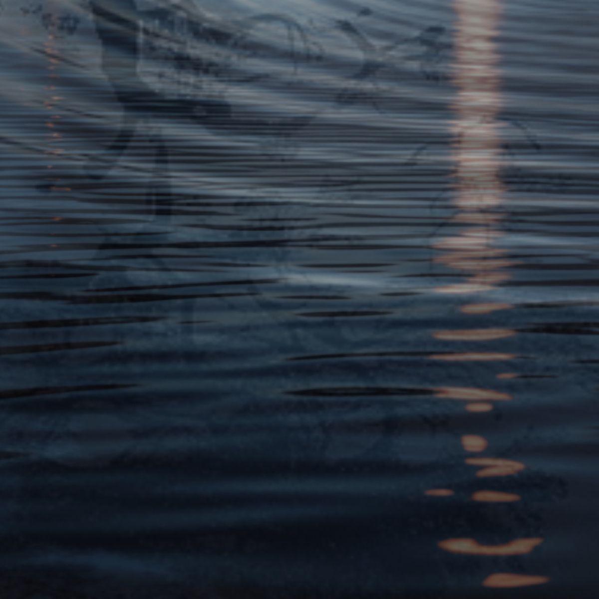 Portada de Sencillo/EP "El Exilio del bonsaí", de Riki Musso