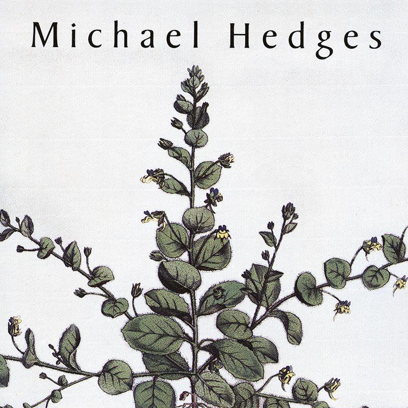 Album cover of "Taproot" by Michael Hedges