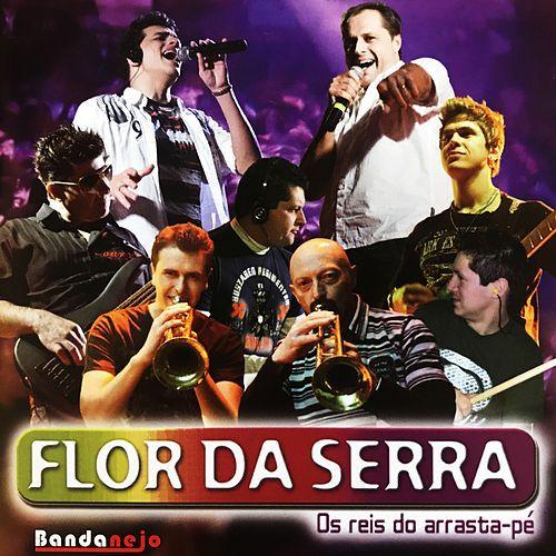 Capa do Álbum "Atende o Celular", de Flor da Serra