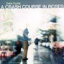 Portada de Álbum "A Crash Course In Roses", de Catie Curtis