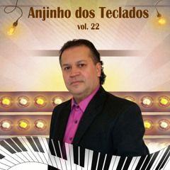 Portada de Álbum "Anjinho dos Teclados - Vol. 22", de Anjinho Dos Teclados