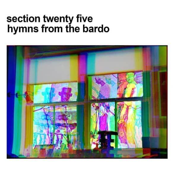 Portada de Álbum "Hymns From The Bardo", de Section 25