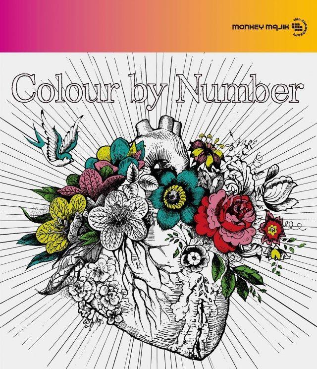 Album cover of "Colour by Number" by Monkey Majik