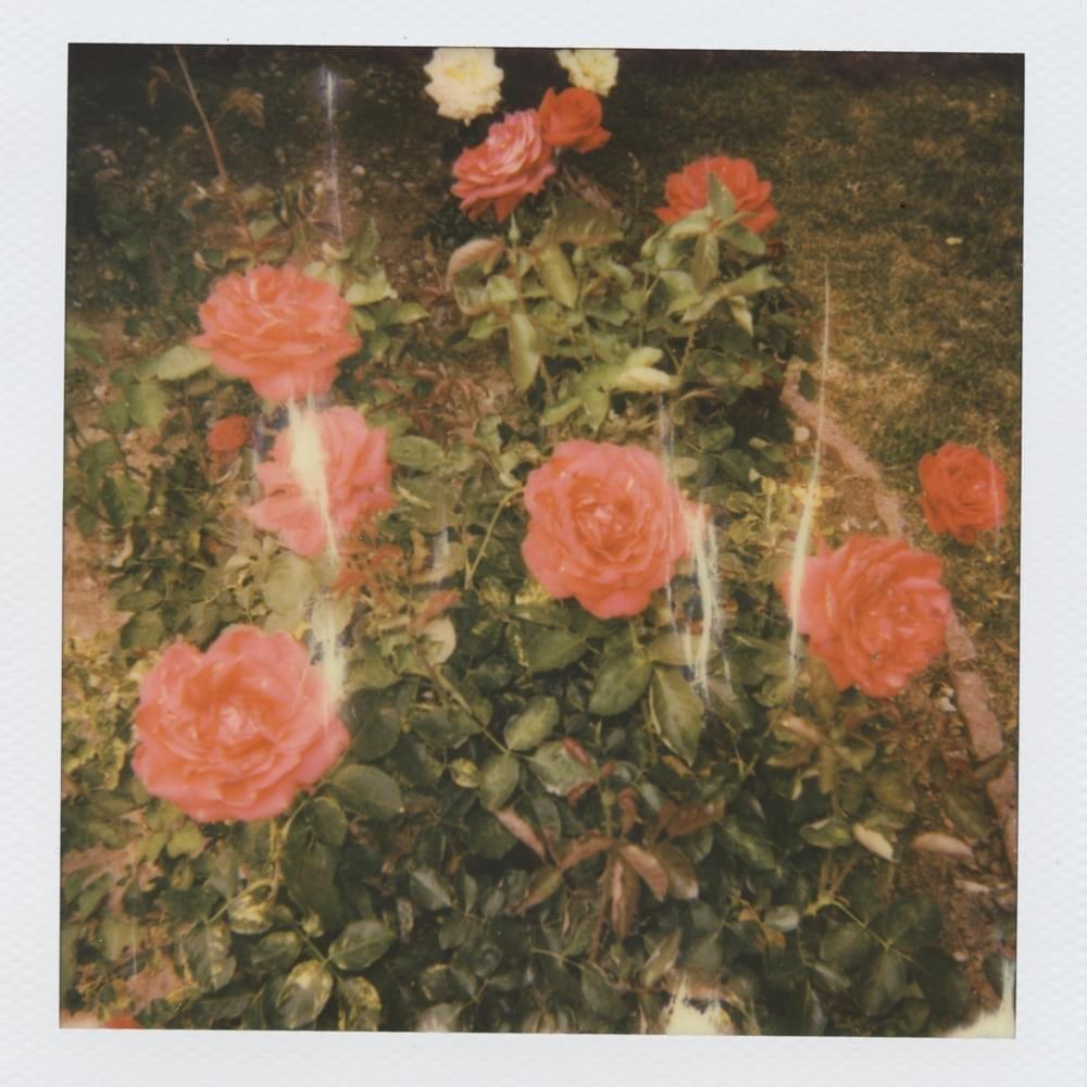 Portada de Sencillo/EP "chapter 2", de girl in red