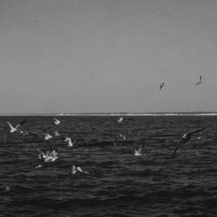 Portada de Álbum "Barrow", de Cemeteries