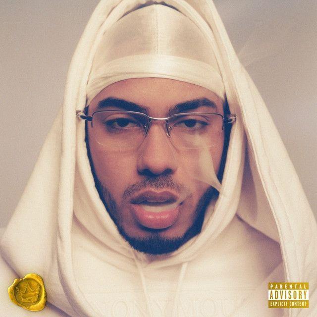 Album cover of "LA PANTERA NEGRA (DELUXE)" by Myke Towers