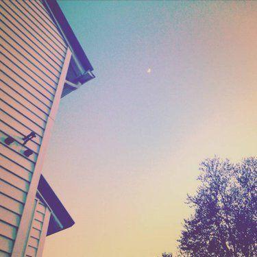 Portada de Sencillo/EP "Hiss//Husk (2009-2011)", de Cemeteries