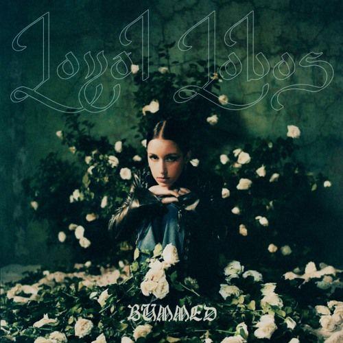 Portada de Sencillo/EP "Bummed", de Loyal Lobos