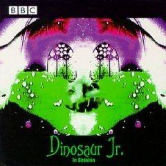 Portada de Álbum "Fossils", de Dinosaur Jr