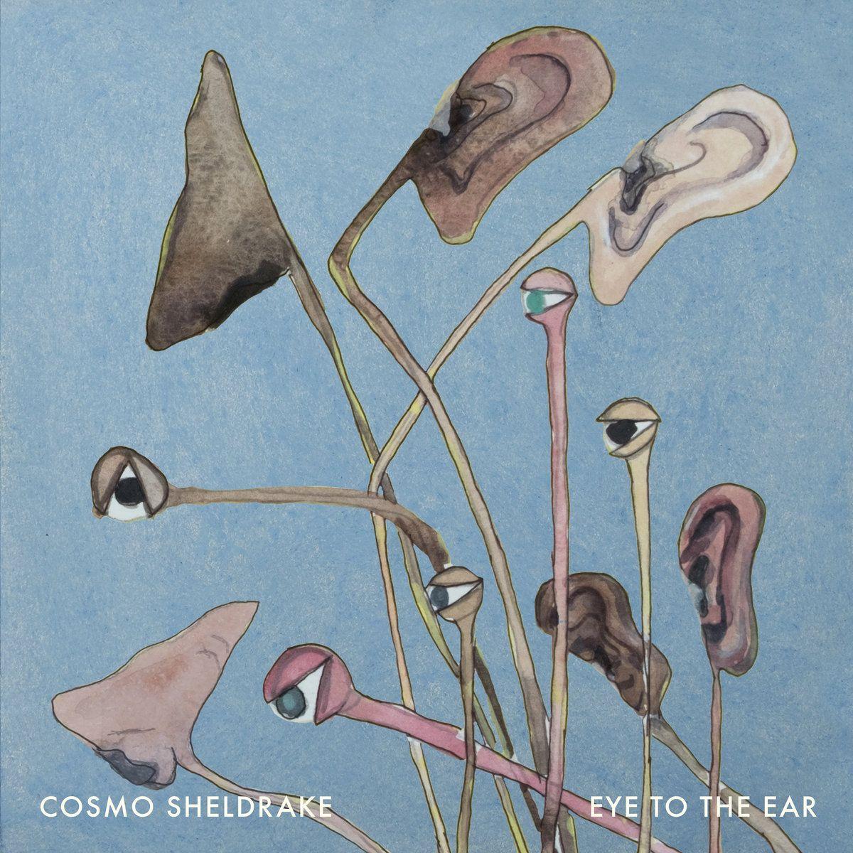 Portada de Álbum "Eye To The Ear", de Cosmo Sheldrake