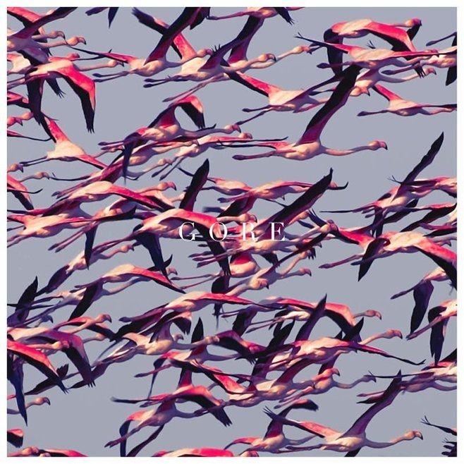 Capa do Álbum "Gore", de Deftones
