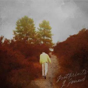 Capa do Álbum "Footprints I Found", de David Kushner