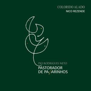 Portada de Sencillo/EP "Colorido Alado", de Nico Rezende