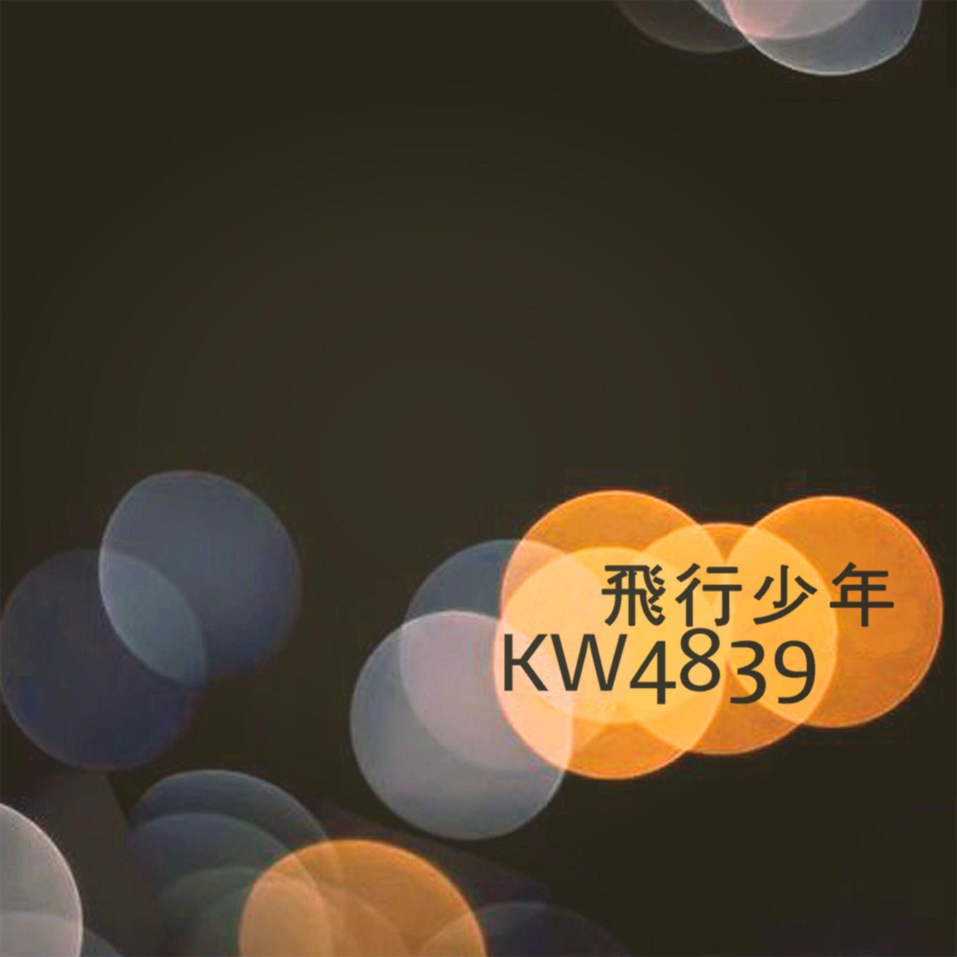 Portada de Álbum "Flight Boy KW4839", de jung jaeil