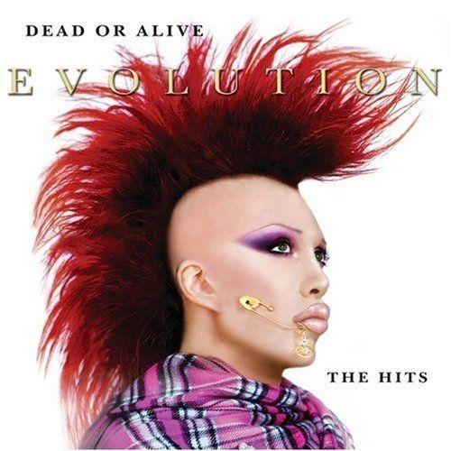 Portada de Álbum "Evolution: The Hits", de Dead Or Alive