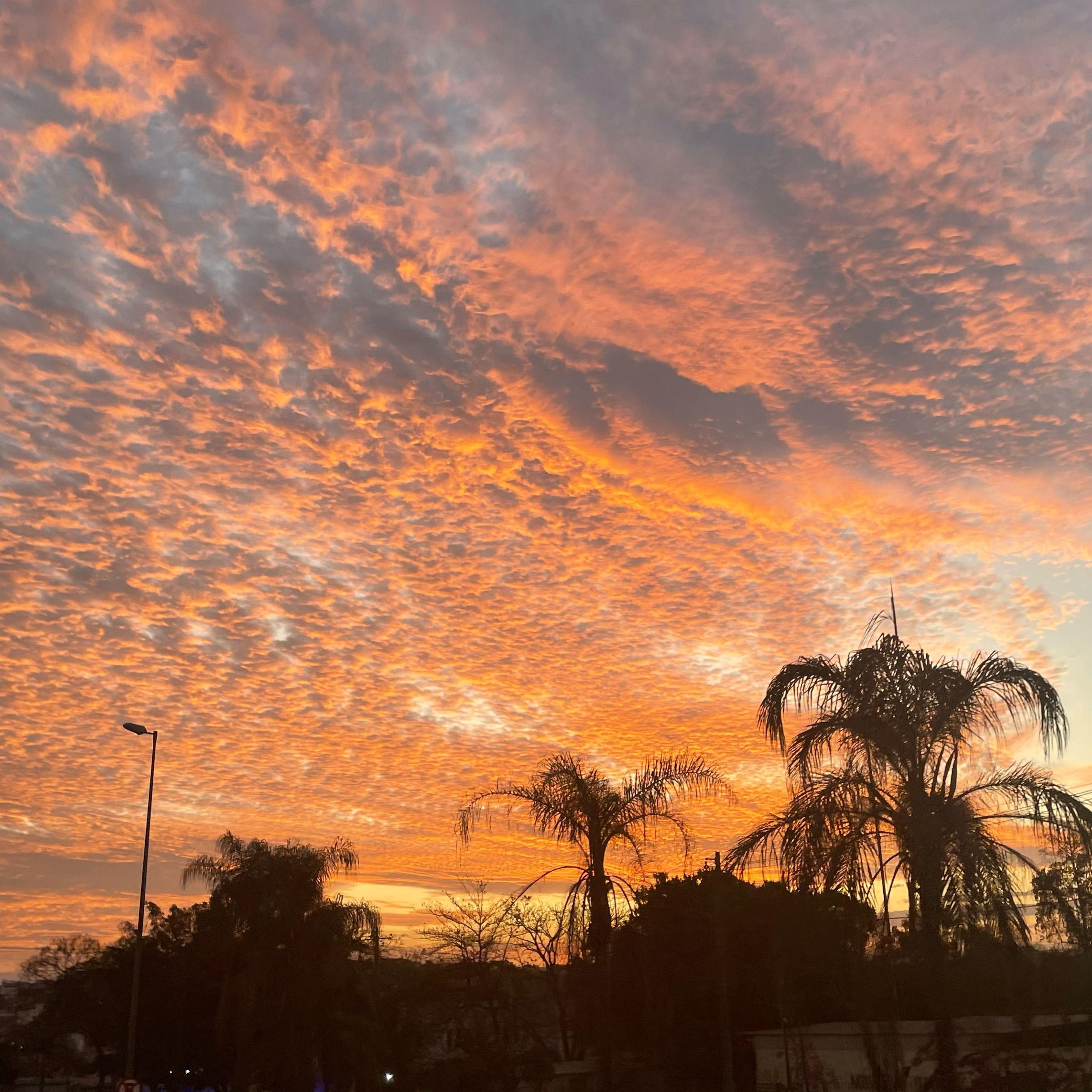 Portada de Sencillo/EP "Far Away", de Iasmin Hallac