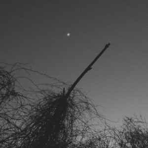 Portada de Sencillo/EP "Hollow Beings (2012-2014)", de Cemeteries