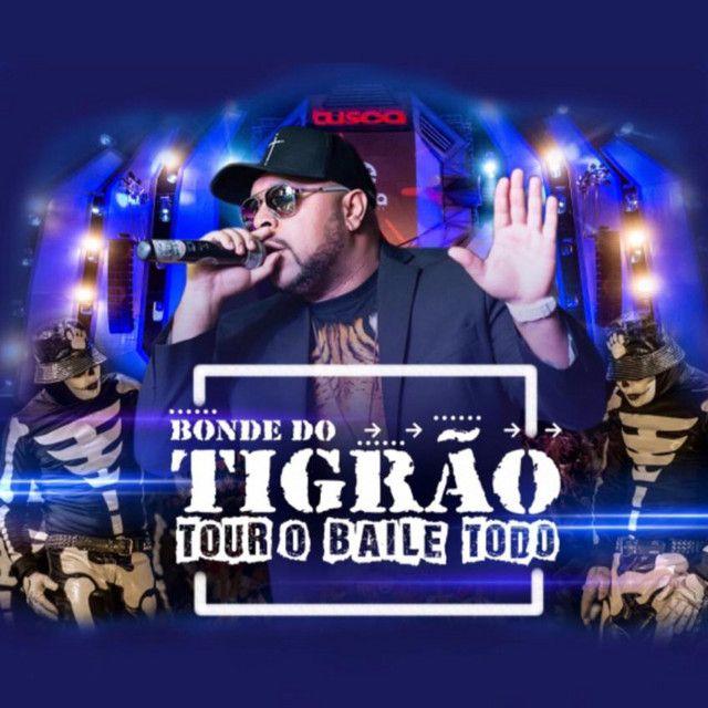 Portada de Álbum "O Baile Todo ", de Bonde do Tigrão
