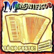 Portada de Álbum "Tô No Ponto ", de Banda Magníficos