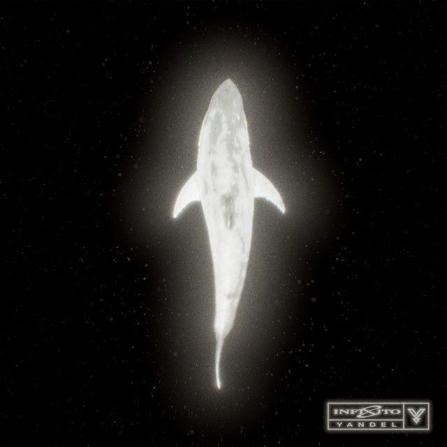 Capa do Álbum "Infinito ", de Yandel