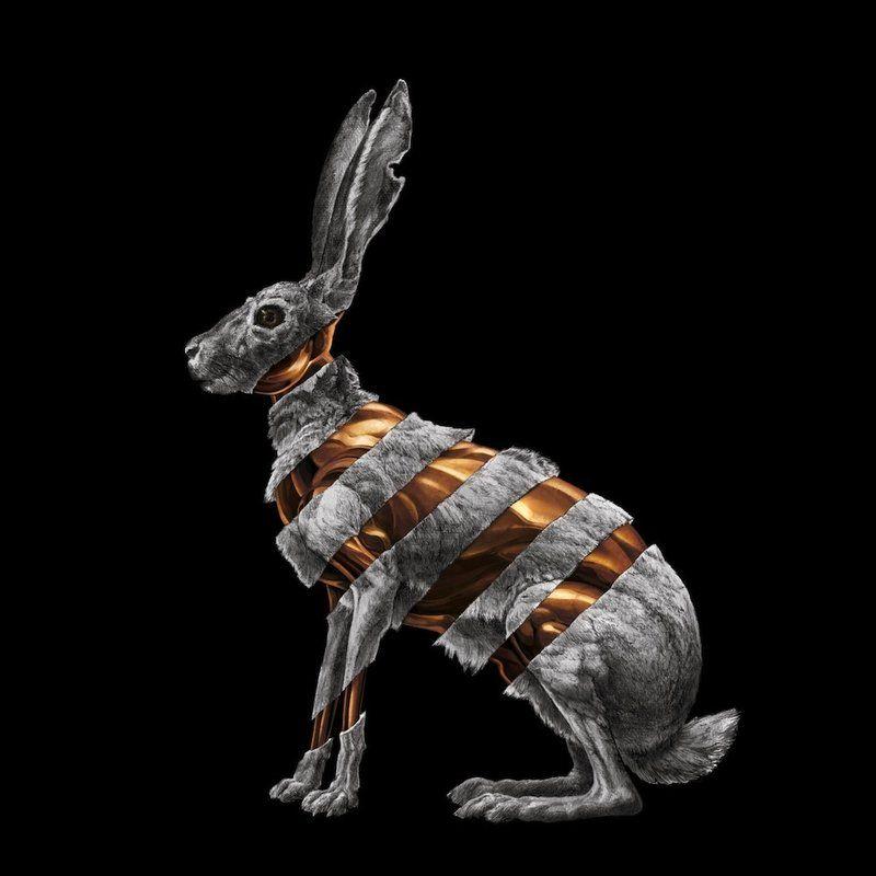 Capa do Álbum "Jackrabbit", de San Fermin