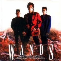 Portada de Álbum "WANDS", de Wands