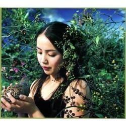 Portada de Álbum "Hanadairo", de Hajime Chitose
