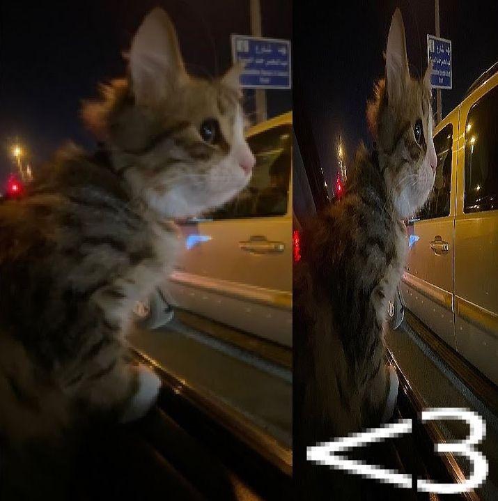 Portada de Sencillo/EP "neuroses com vc", de fresh0hz