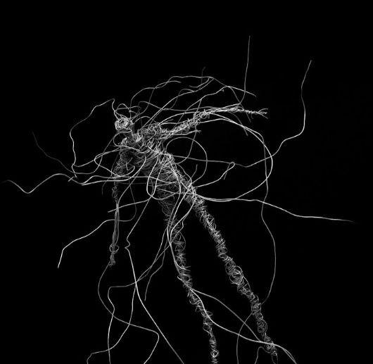 Portada de Sencillo/EP "Libertad Es Presión", de Piti Fernandez