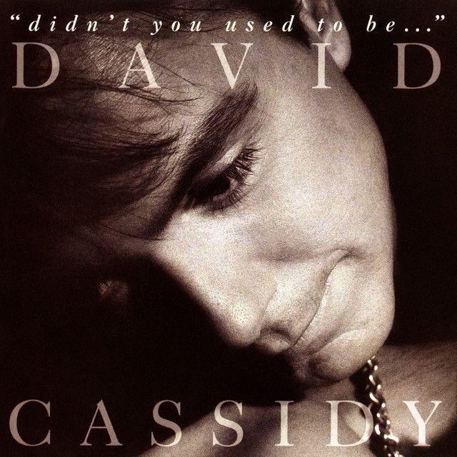 Capa do Álbum ""Didn't You Used to be"", de David Cassidy