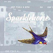 Portada de Álbum "Good Morning Spider ", de Sparklehorse