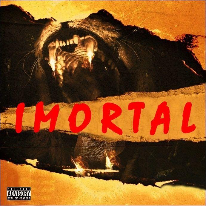 Portada de Álbum "Imortal", de Atitude Rap