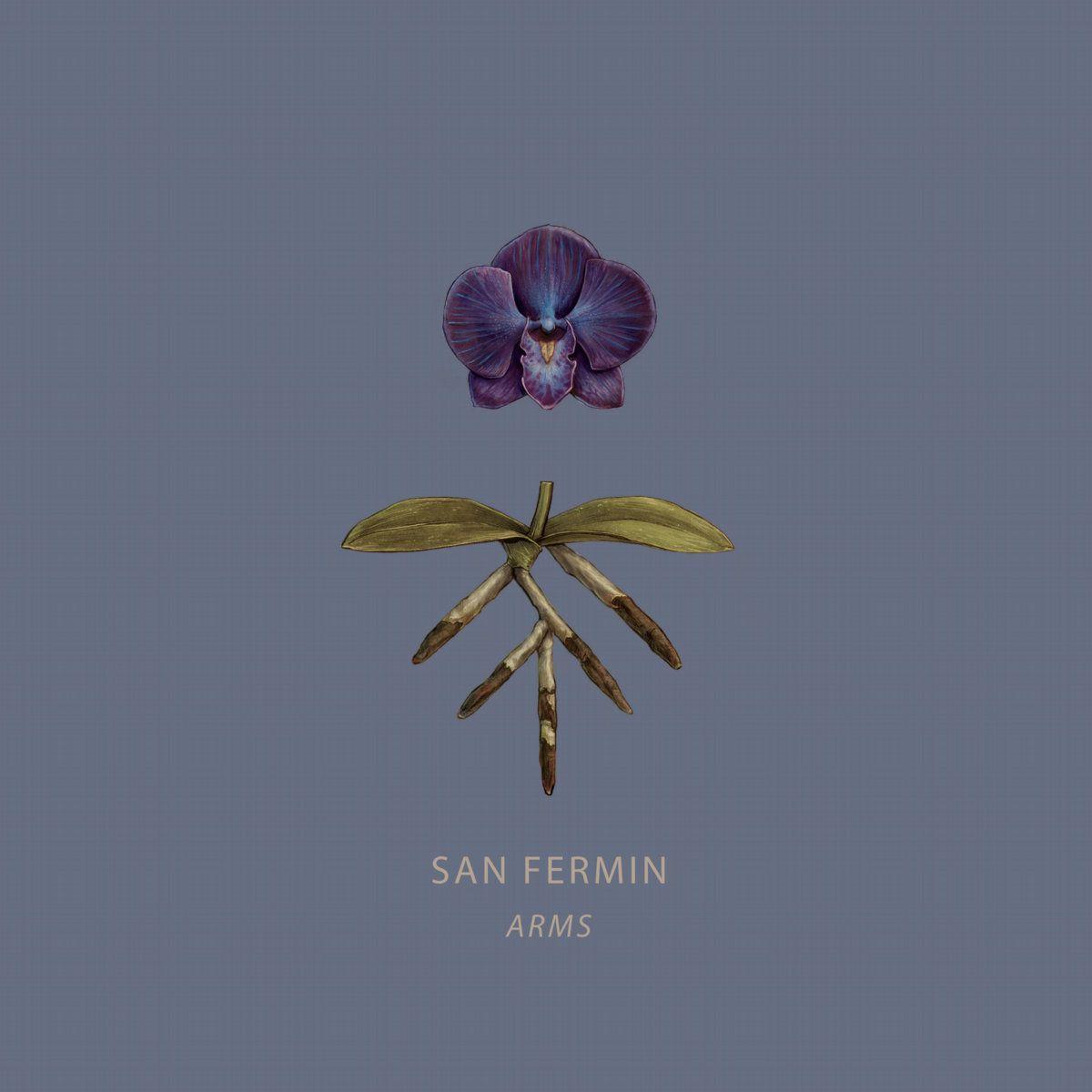 Capa do Álbum "Arms (2024)", de San Fermin
