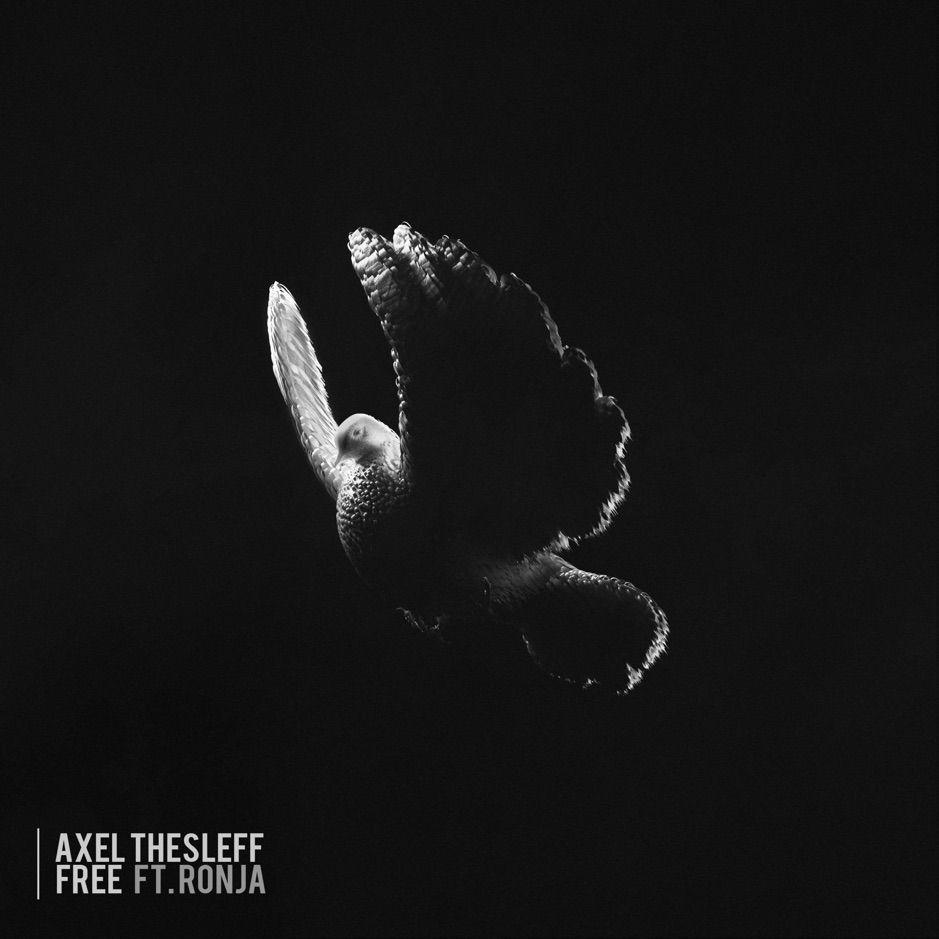 Portada de Sencillo/EP "Free", de Axel Thesleff