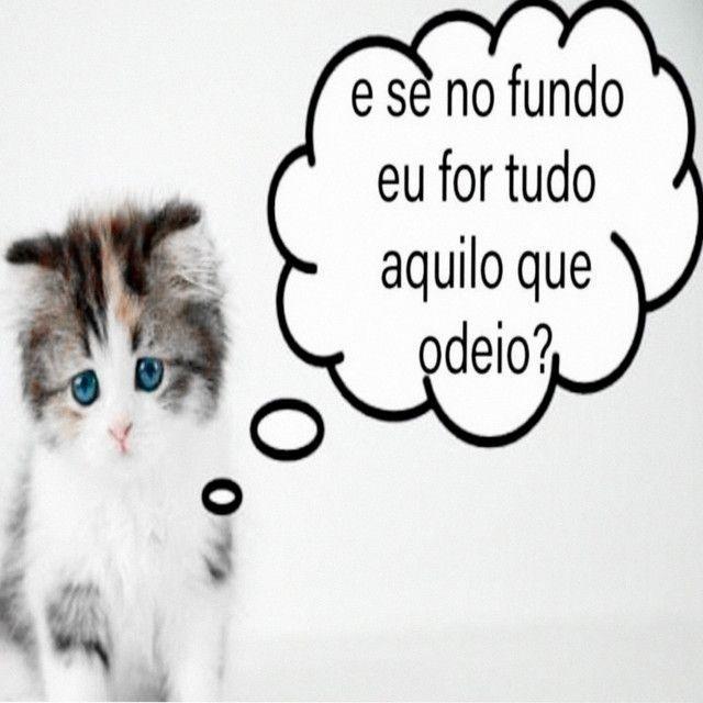 Portada de Sencillo/EP "debaixo da cama", de fresh0hz