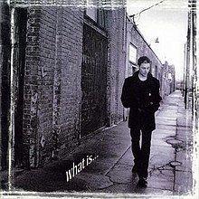 Album cover of "What Is..." by Richie Kotzen