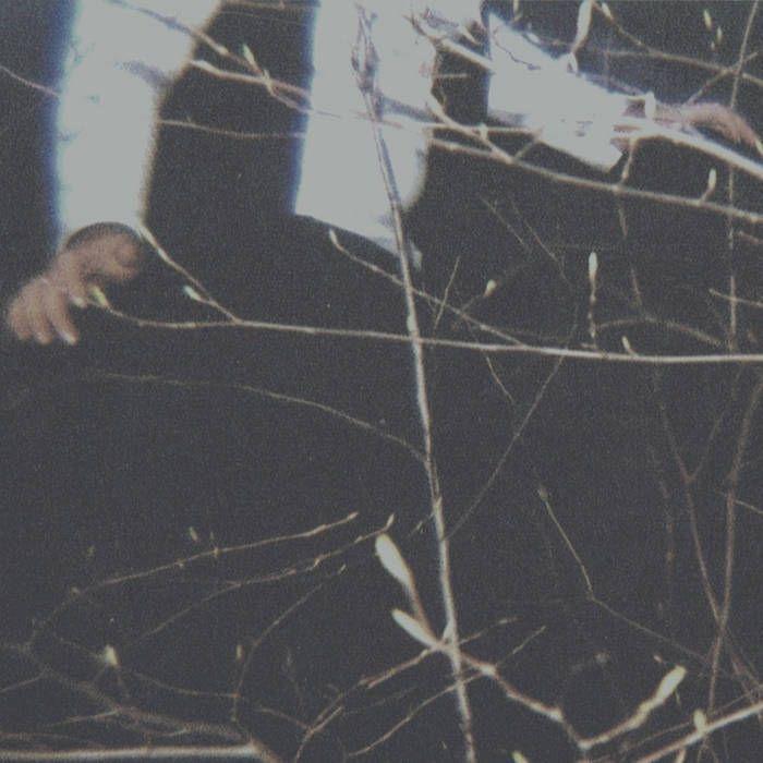 Portada de Álbum "The Wilderness", de Cemeteries