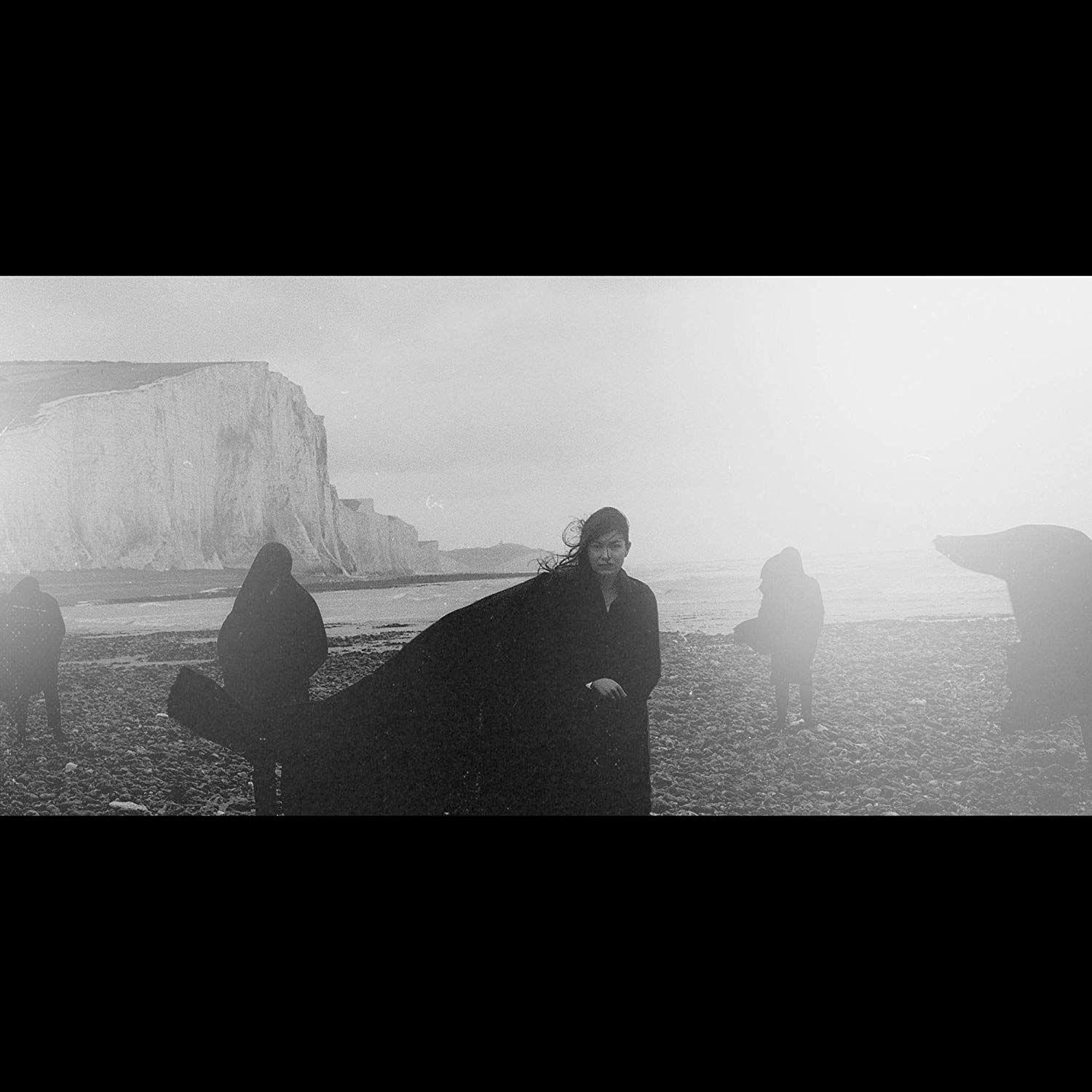 Portada de Álbum "Vanishing Lands", de Dog In The Snow