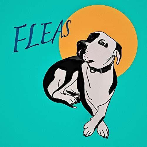 Portada de Sencillo/EP "Fleas", de Rett Madison